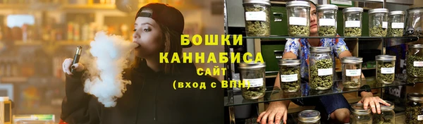 хмурый Дмитриев