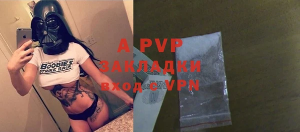 хмурый Дмитриев