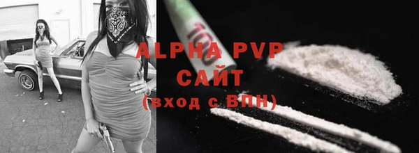 хмурый Дмитриев
