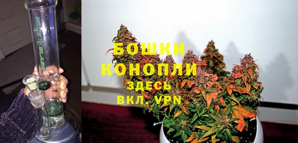 сатива Ельня