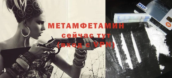 сатива Ельня