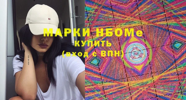 сатива Ельня