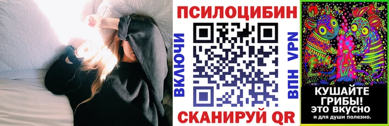Купить  Кулебаки  Галлюциногенные грибы MAGIC MUSHROOMS 